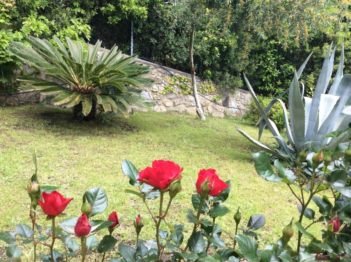 Tra Mare E Bosco Nella Splendida Quercianella Villa Bagian luar foto